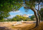 Πινακας σε καμβά ACROPOLIS HILL
