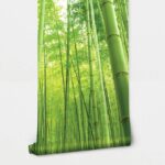 Αυτοκόλλητη Ταπετσαρία τοίχου BAMBOO FOREST
