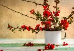 Πινακας σε καμβά BARBERRY BOUQUET