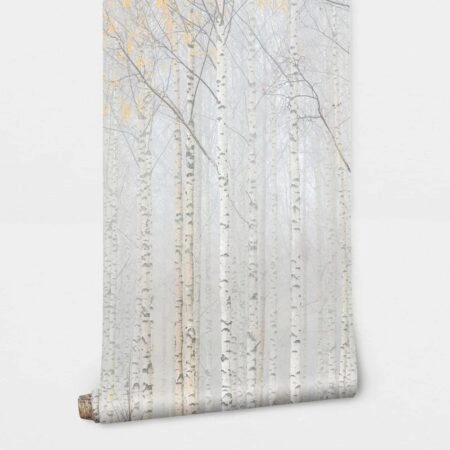 Αυτοκόλλητη Ταπετσαρία τοίχου FOG IN BIRCH FOREST - Τοπία Sticky 2
