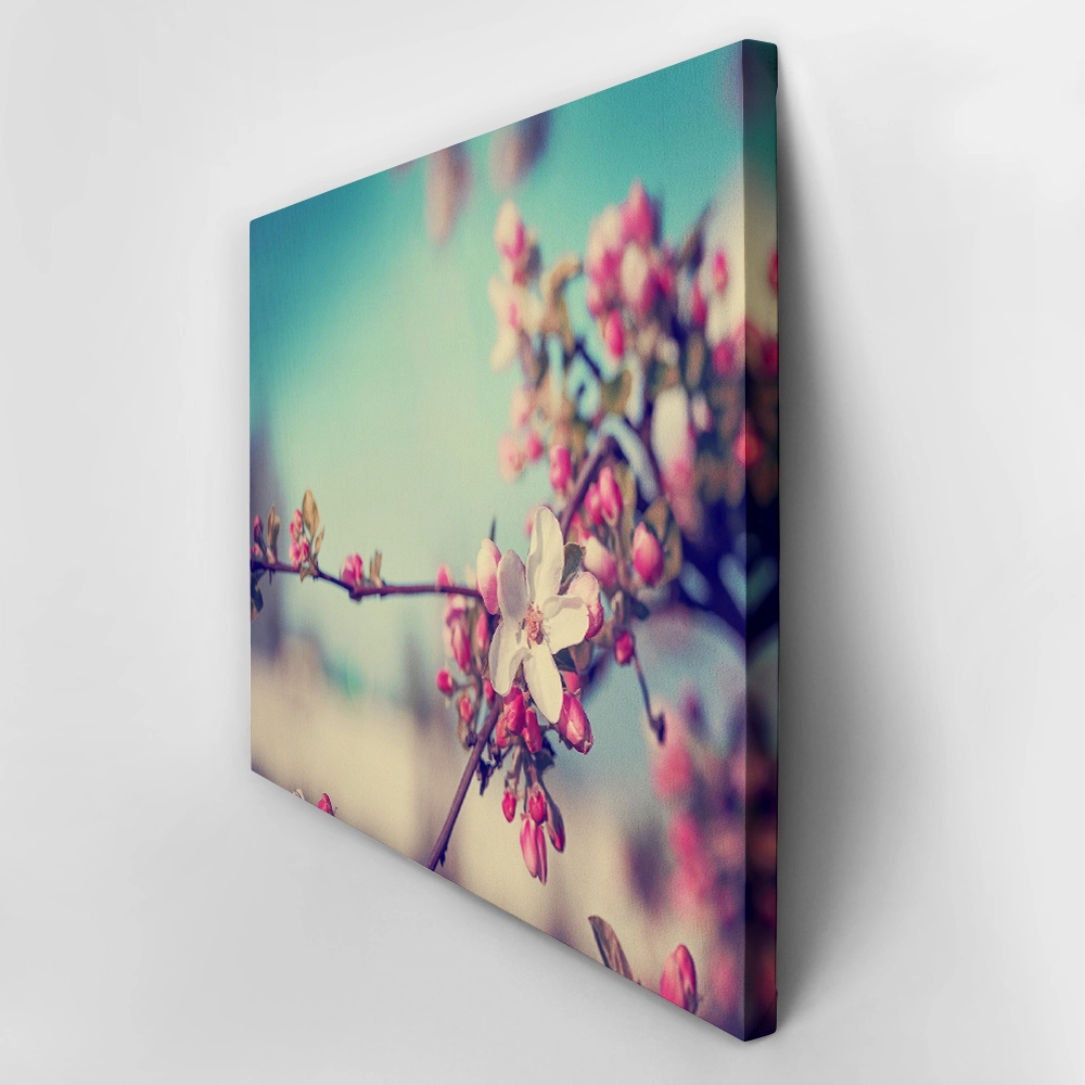 Πινακας σε καμβά BLOSSOM FLOWER