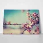 Πινακας σε καμβά BLOSSOM FLOWER