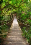 Πινακας σε καμβά BRIDGE TO THE JUNGLE THAILAND