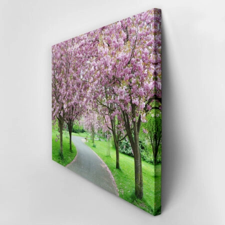 Πινακας σε καμβά CHERRY BLOSSOM PATH - Ανθη Δεντρων Sticky 2