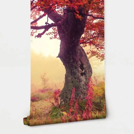 Αυτοκόλλητη Ταπετσαρία τοίχου COLOURFUL AUTUMN - Τοπία Sticky 2