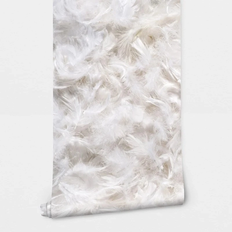 Αυτοκόλλητη Ταπετσαρία τοίχου FEATHERS
