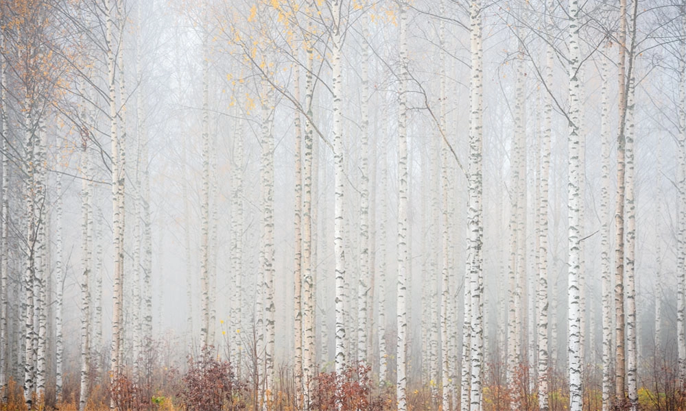 crop image