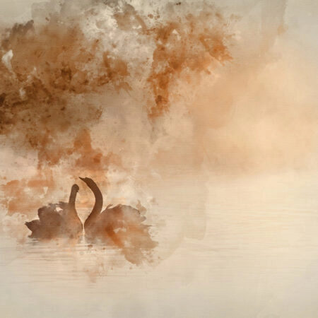 Πινακας σε καμβά FOGGY LAKE SWANS - Αφηρημενα και Abstract Sticky 4