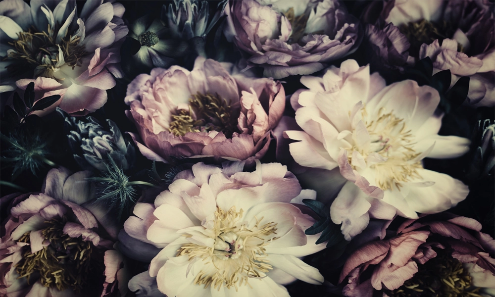 crop image
