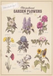Πινακας σε καμβά OLD FASHIONED FLOWERS