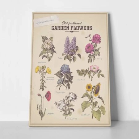 Πινακας σε καμβά OLD FASHIONED FLOWERS - Botanical - Φυτα