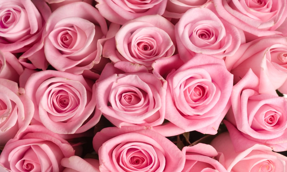 crop image