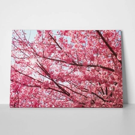 Πινακας σε καμβά PINK BLOSSOM - Ανθη Δεντρων