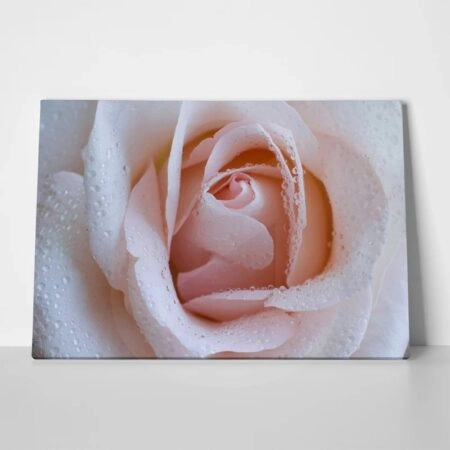 Πινακας σε καμβά PINK ROSE SWIRLS - Τριανταφυλλα