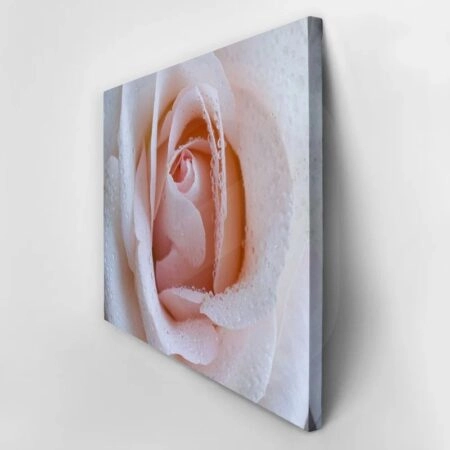 Πινακας σε καμβά PINK ROSE SWIRLS - Τριανταφυλλα Sticky 2