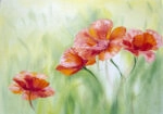 Πινακας σε καμβά POPPIES IN THE FIELD