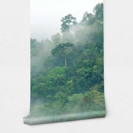 Αυτοκόλλητη Ταπετσαρία τοίχου RAINFOREST FOG - Τοπία Sticky 2