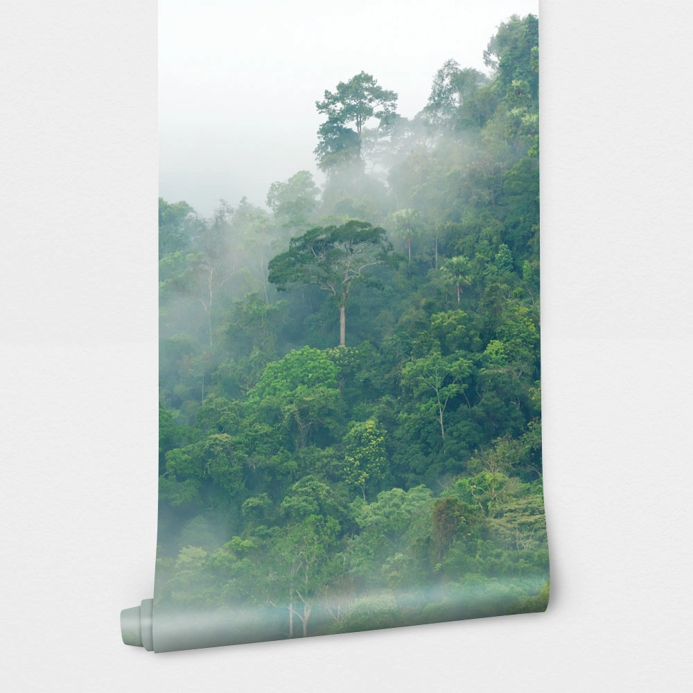 Αυτοκόλλητη Ταπετσαρία τοίχου RAINFOREST FOG
