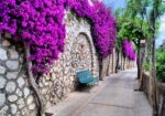 Πινακας σε καμβά VIBRANT FLOWER