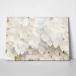 Πινακας σε καμβά WHITE HYDRANGEA FLORAL BACKGROUND