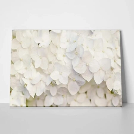Πινακας σε καμβά WHITE HYDRANGEA FLORAL BACKGROUND - Floral - Λουλουδια