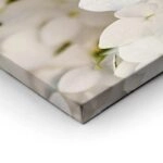 Πινακας σε καμβά WHITE HYDRANGEA FLORAL BACKGROUND