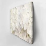 Πινακας σε καμβά WHITE HYDRANGEA FLORAL BACKGROUND