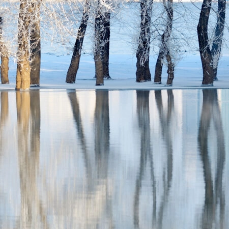 Πινακας σε καμβά WINTER LANDSCAPE - Πινακες σε καμβα Sticky 4