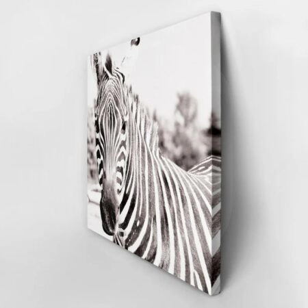 Πίνακας ZEBRA - Ζεμπρες Sticky 2