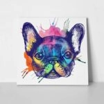 Πίνακας σε καμβά FRENCH BULLDOG HAND DRAWN