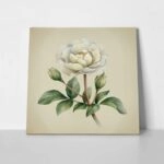 Πίνακας σε καμβά UNIQUE WATERCOLOR PEONY FLOWERS