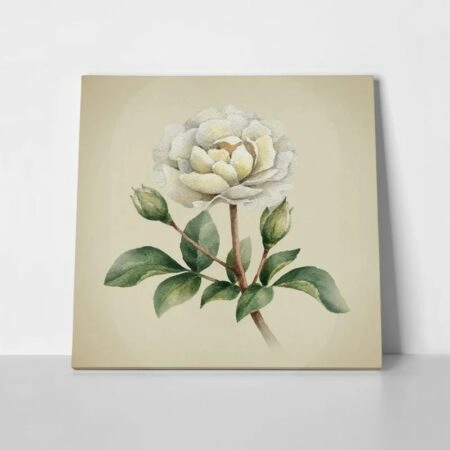 Πίνακας σε καμβά UNIQUE WATERCOLOR PEONY FLOWERS - Floral - Λουλουδια