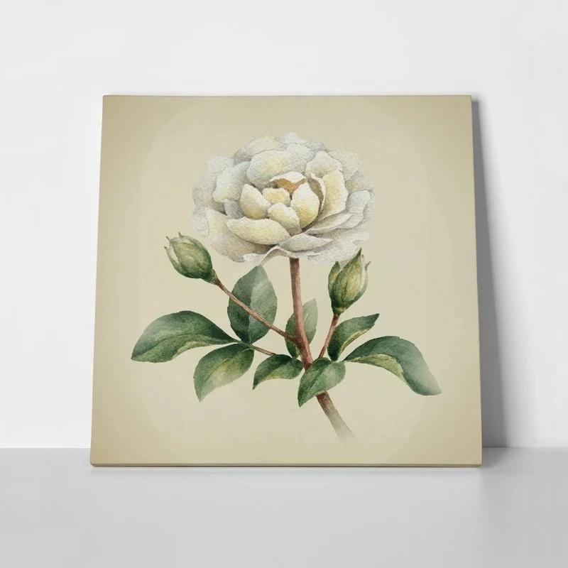 Πίνακας σε καμβά UNIQUE WATERCOLOR PEONY FLOWERS