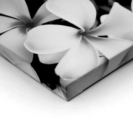 Πινακας σε καμβά BLACK AND WHITE FLOWERS - Floral - Λουλουδια Sticky 1