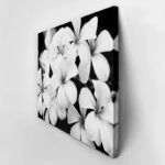 Πινακας σε καμβά BLACK AND WHITE FLOWERS