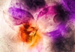Πινακας σε καμβά FROZEN ORCHID FLOWERS ABSTRACT PAINTING