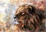 Πινακας σε καμβά LION CRACKED ART