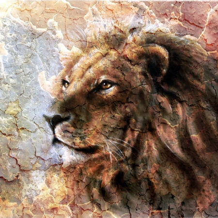 Πινακας σε καμβά LION CRACKED ART - Ζωα Sticky 4