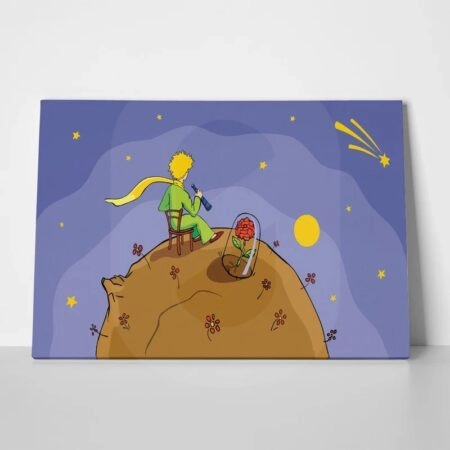 Πινακας σε καμβά LITTLE PRINCE LOOKING STARS - Παιδικοι και set