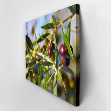 Πινακας σε καμβά OLIVES - Botanical - Φυτα Sticky 2