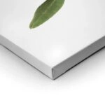Πινακας σε καμβά OLIVE BRANCH
