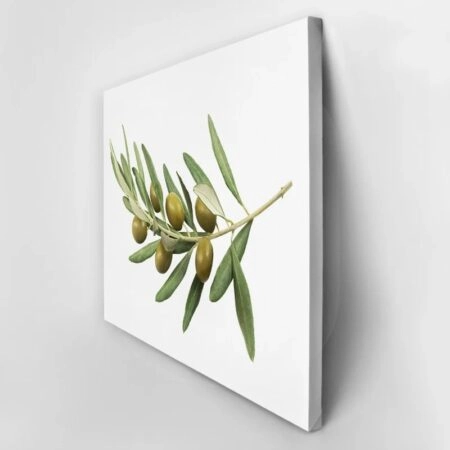 Πινακας σε καμβά OLIVE BRANCH - Botanical - Φυτα Sticky 2