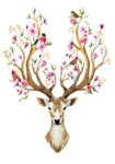 Πινακας σε καμβά WATERCOLOR ILLUSTRATION DEER FLOWERS BIRDS