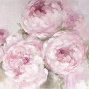 cat-peonies
