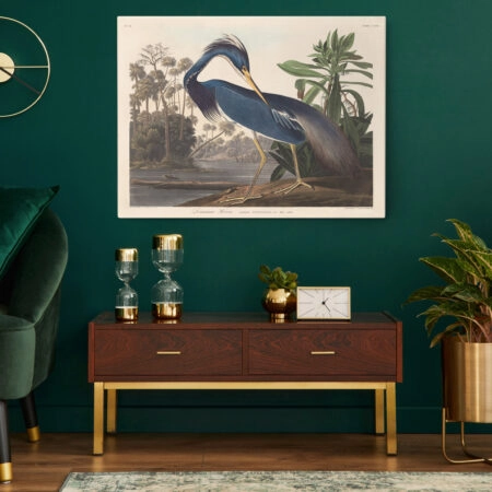 Πινακας σε καμβά AUDUBON - LOUISIANA HERON - Αλλοι ζωγραφοι