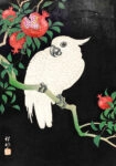 Πινακας σε καμβά COCKATOO AND POMEGRANATE