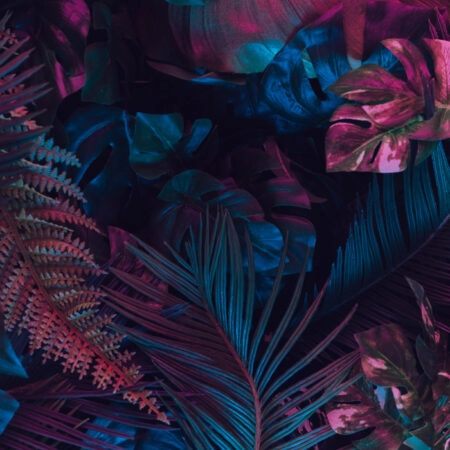 Πινακας σε καμβά FLUROSCENT PALM LEAVES - Botanical - Φυτα Sticky 5
