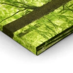 Πινακας σε καμβά GREEN FOREST