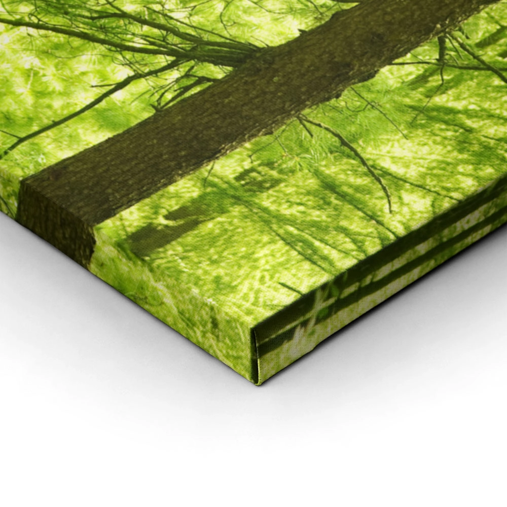 Πινακας σε καμβά GREEN FOREST