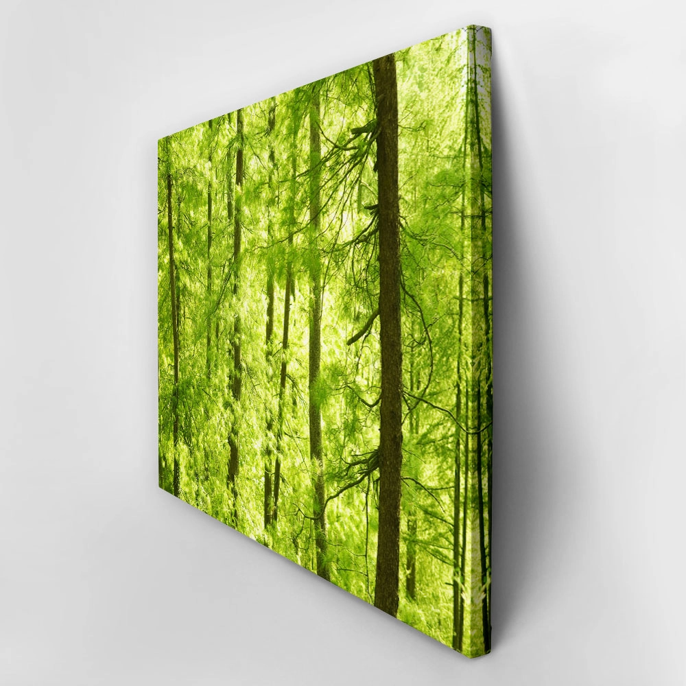 Πινακας σε καμβά GREEN FOREST